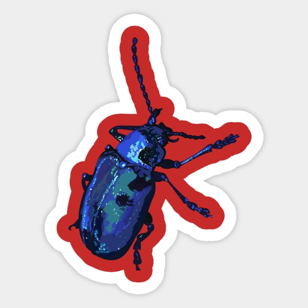 Water Beetle Sticker by Brieana